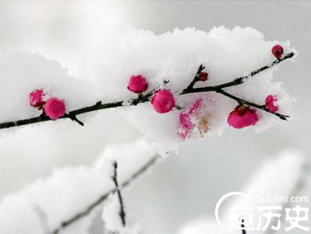 冬天下雪的19句优美诗句