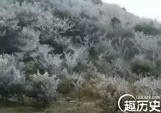 海南历史上曾8次下雪 盘点海南古代降雪记录