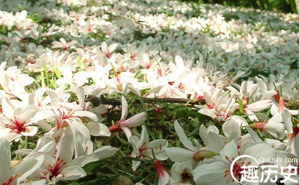 陌上花