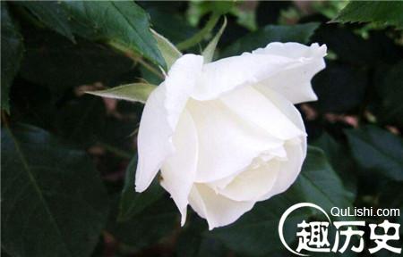 1_副本5.jpg