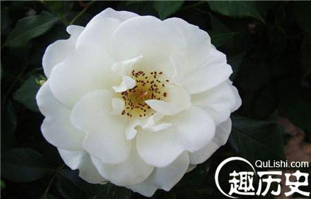 2_副本5.jpg