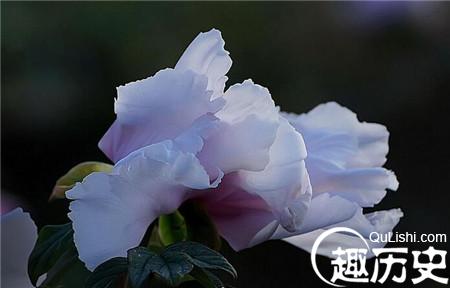 3_副本5.jpg