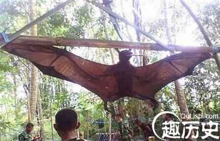 1_副本.jpg